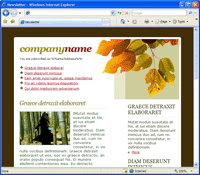 Email Template 9